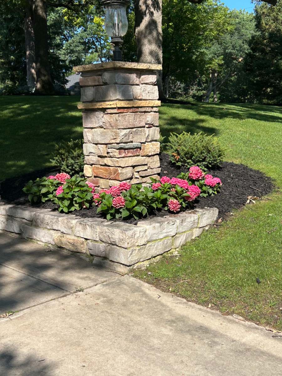 The same corner after: stone pillar base rebuilt, stone edging set and a hydrangea bed mulched in