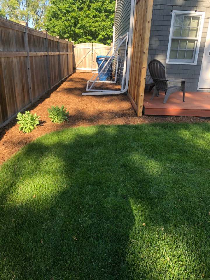 New sod laid in a fenced back yard with a fresh mulch bed along the fence line