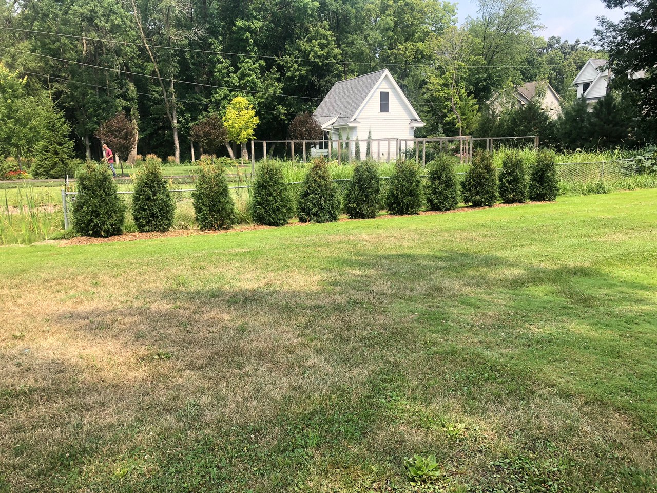 Mulched bed running the length of a back fence behind a wide lawn