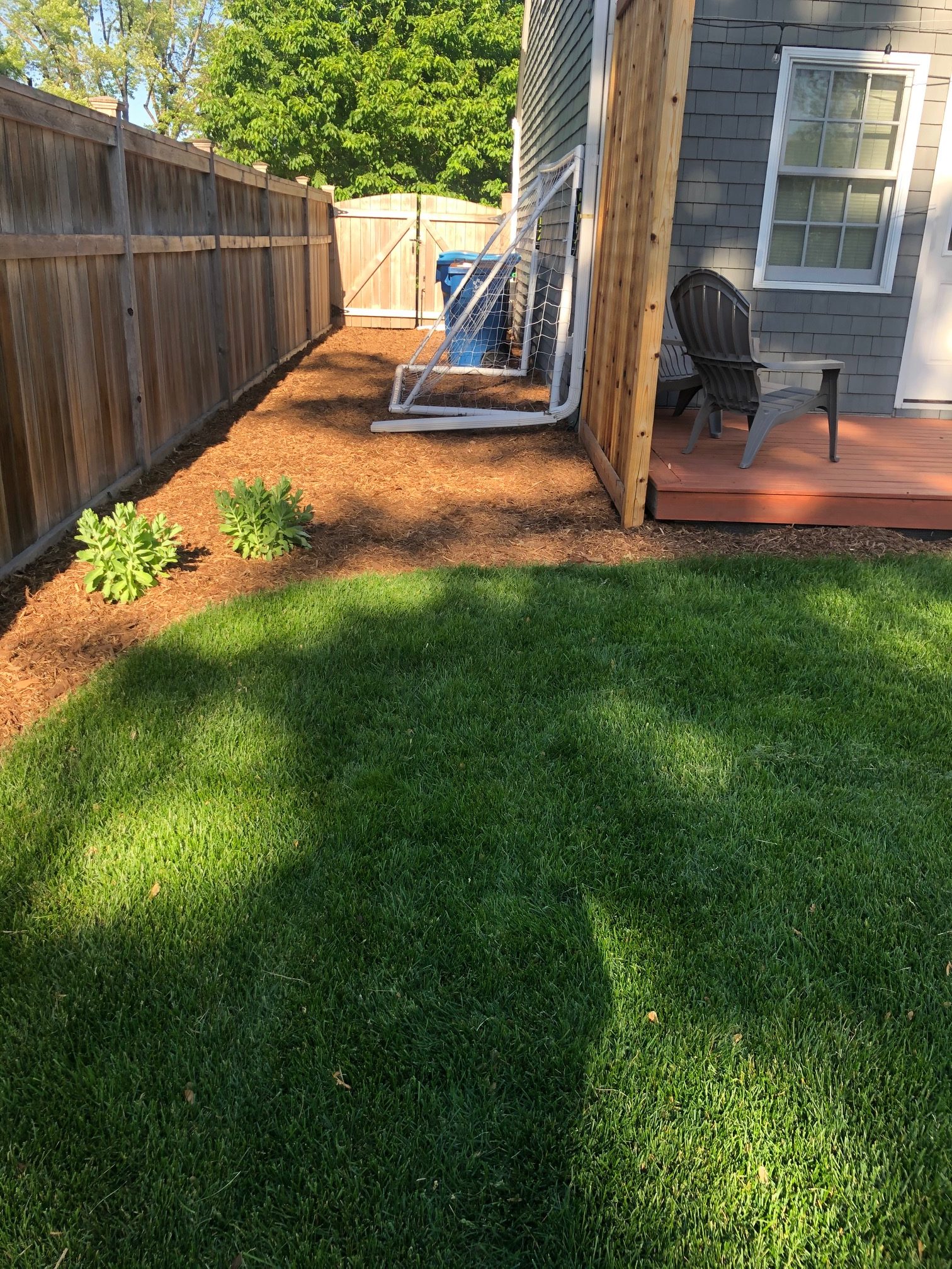 New sod laid in a fenced back yard with a fresh mulch bed along the fence line